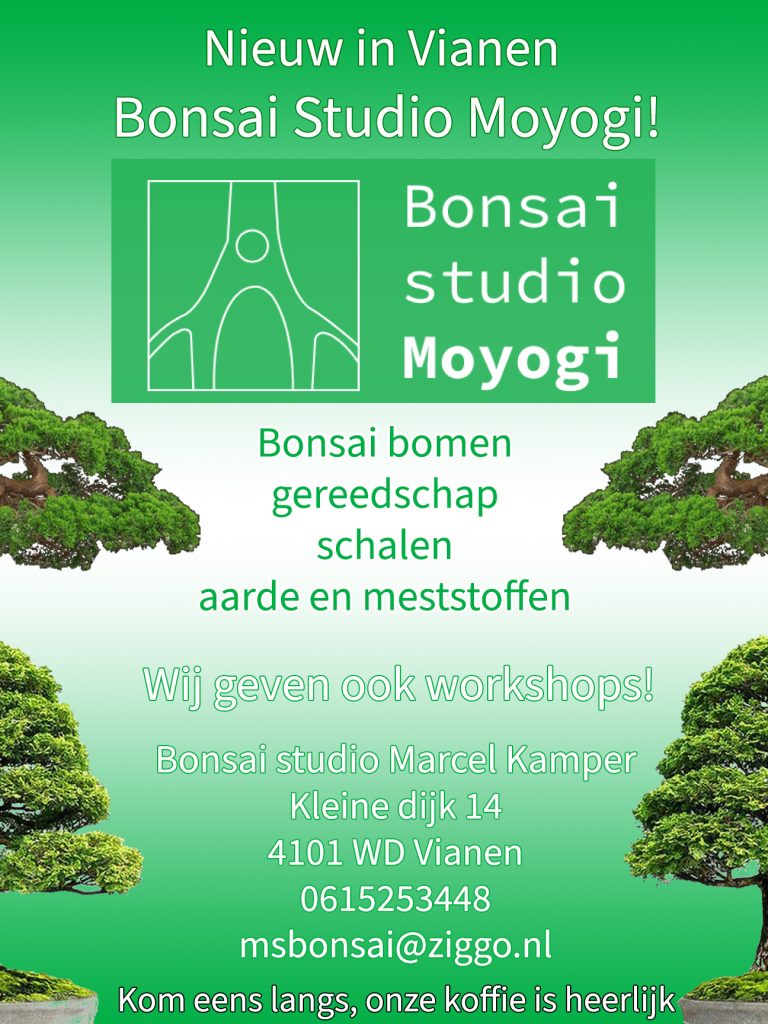 advertentie-moyogi